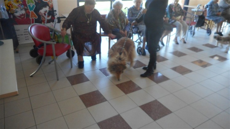 DSCN1555
