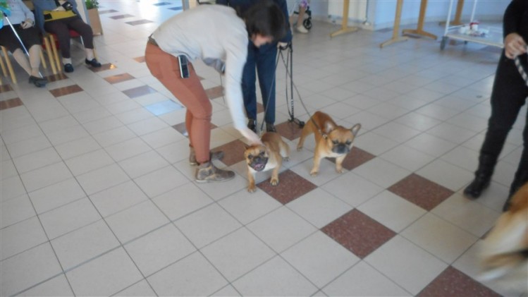 DSCN1563