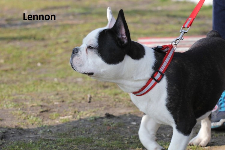 nom lennon