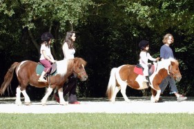 balade poney01