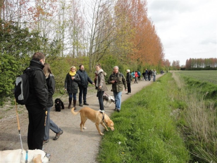 Parcours du coeur 2016 5