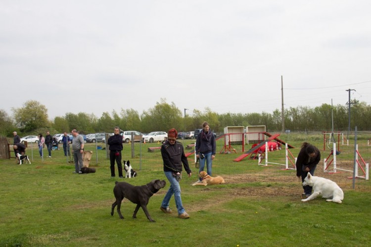 20150502_cours2_1000px_029