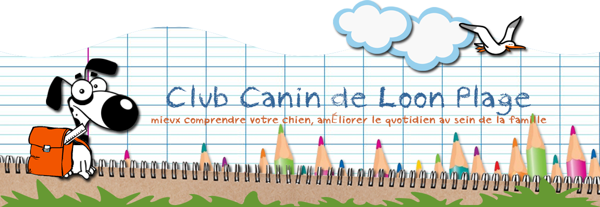 septem banniere
